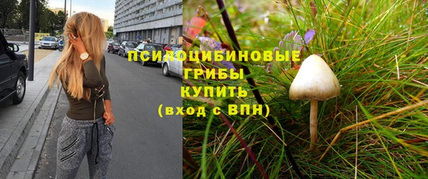 первитин Алексин