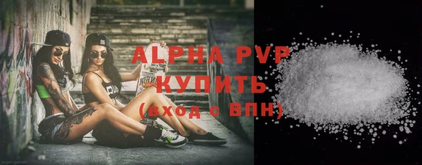 молекула духа Козловка