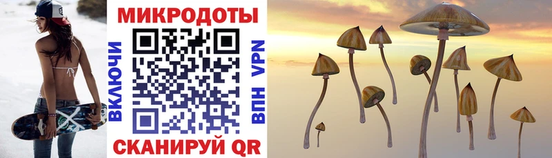Псилоцибиновые грибы MAGIC MUSHROOMS  где найти   Томмот 